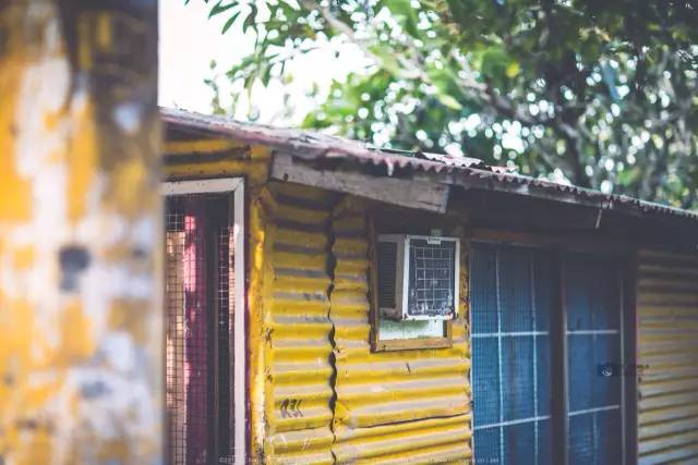 帕劳旅游景点视频,帕劳旅游真实生活