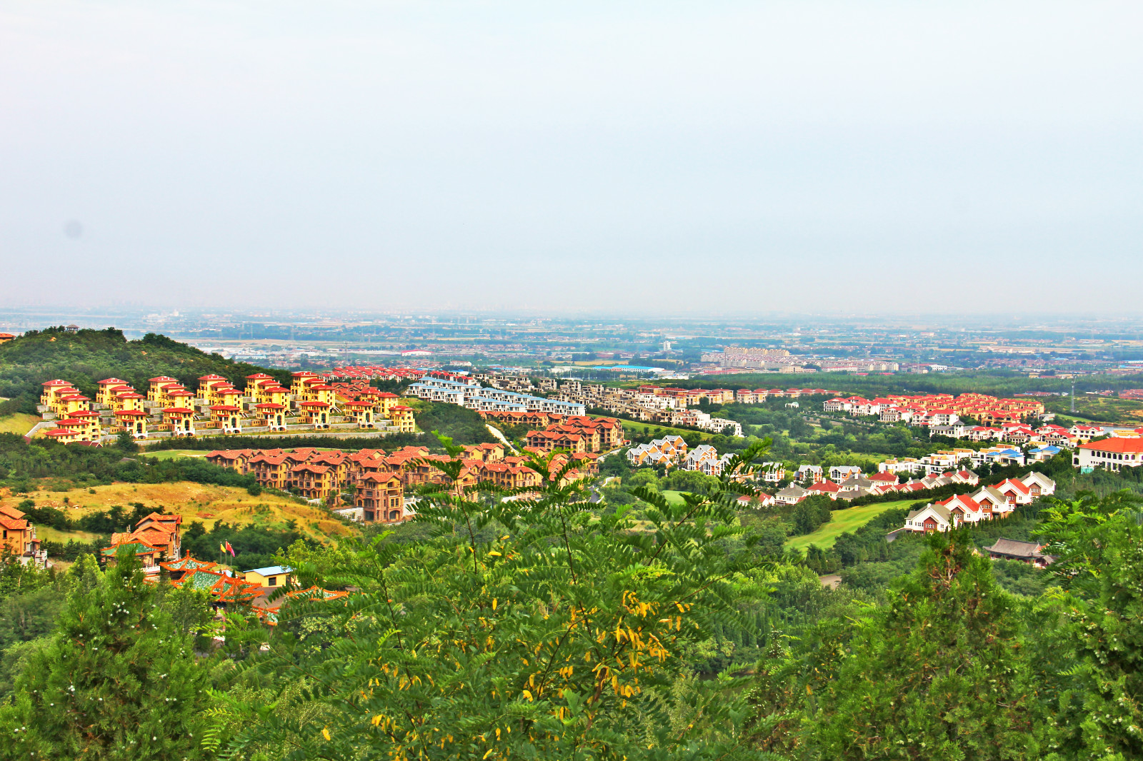 超级富豪发家的秘密,超级富豪村