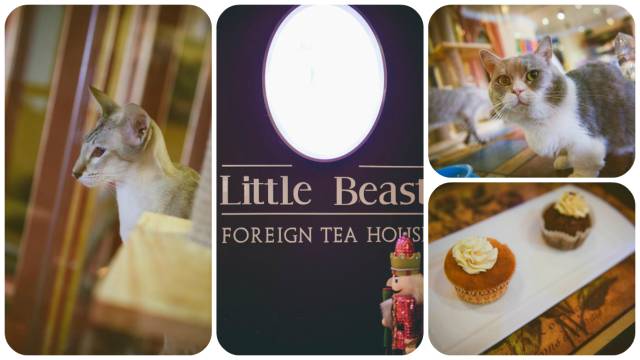 重庆茶室最出名的茶馆,重庆喝茶打麻将的地方都有哪些