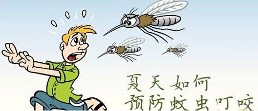 夏季爆款驱蚊神器,天然防蚊3妙招简单又有效