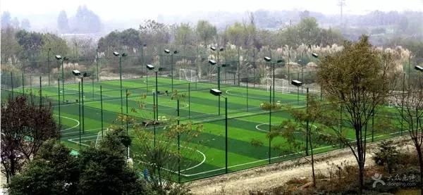 欧洲杯没看比赛怎么看半全场,欧洲杯足球赛事时间及场馆