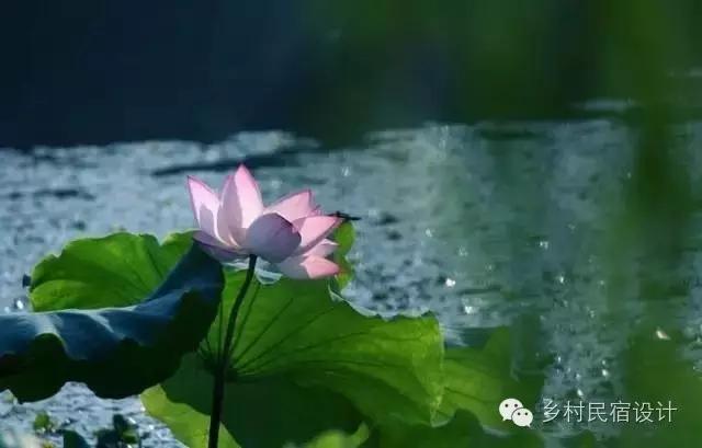 最迷人的风景令人陶醉,杭州十大秋色秘境小镇