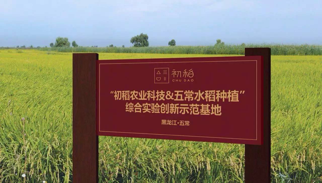 脚气病患者福利来啦！日本人为什么吃胚芽米？原因在这！