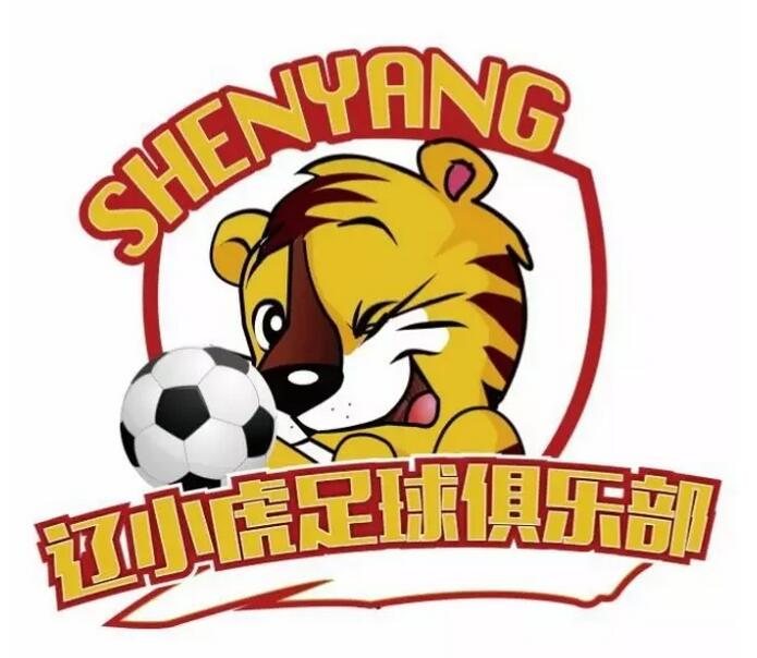 沈阳辽小虎足球青训,辽小虎足球俱乐部皇姑区
