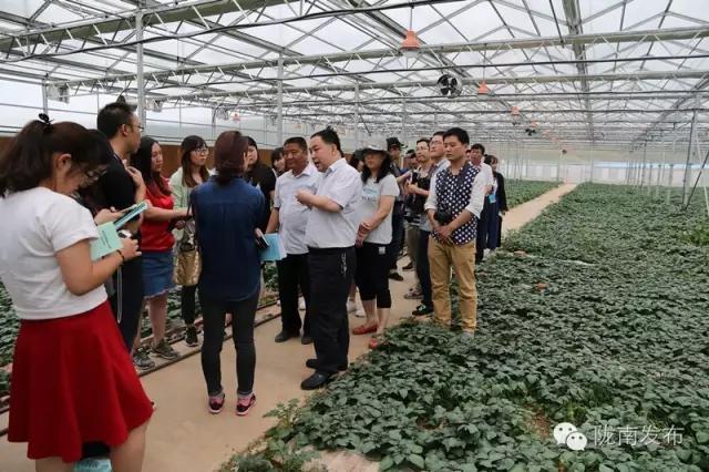 全国百家网媒齐聚陇南，他们去了哪儿？看了啥？