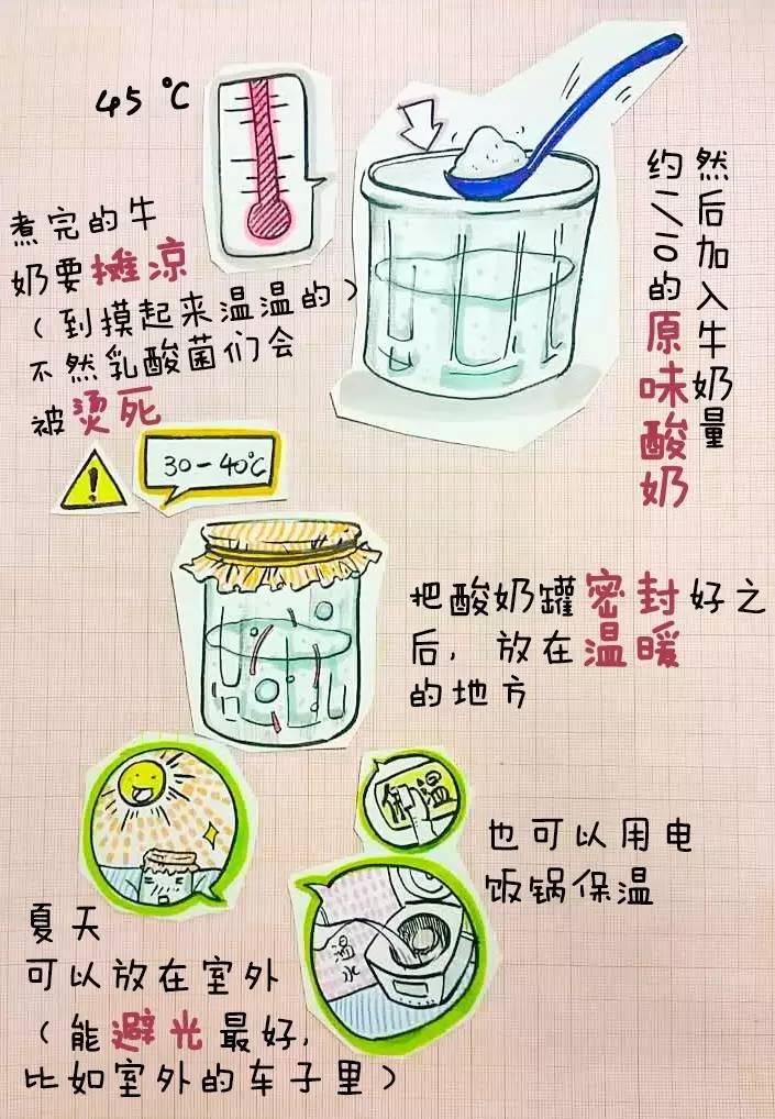 营养师教你自制益生菌,美国注册营养师都学什么