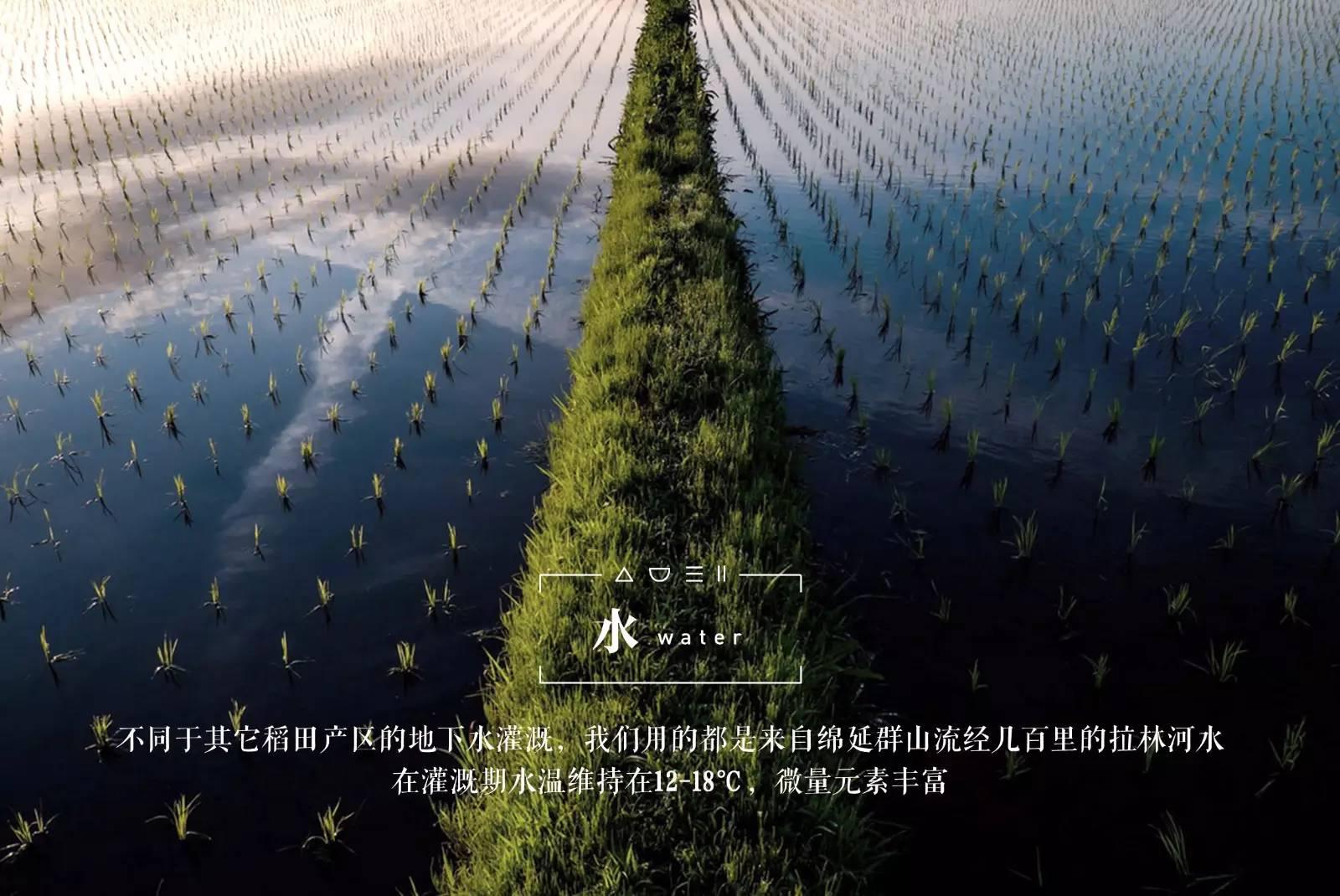 脚气病患者福利来啦！日本人为什么吃胚芽米？原因在这！