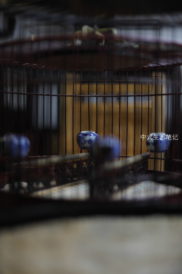 提笼架鸟说明什么,提笼架鸟视频