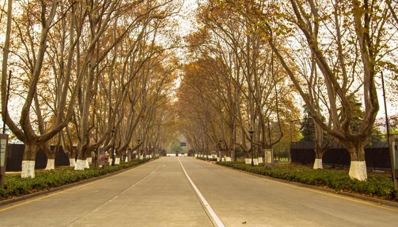 民国范儿有哪些,民国范儿真实照片