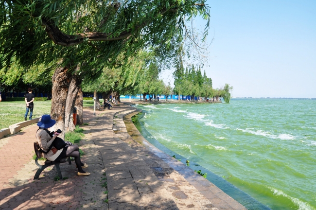 高洪波国足,国足本土教练高洪波