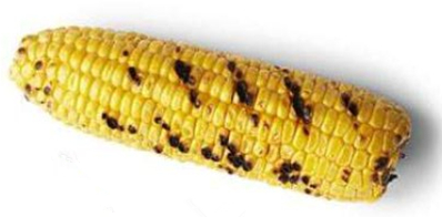 美式碳烤教程,正宗日式碳烤