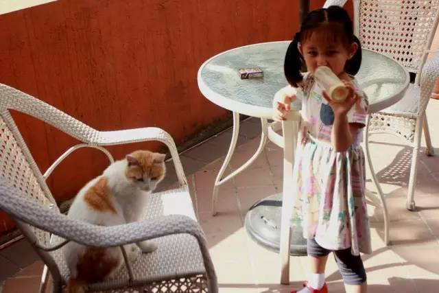 388元住酒店,350元在泰国住宿