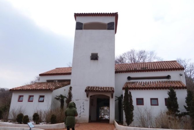 济州岛玩包车还是租车好,说走就走的韩国旅游