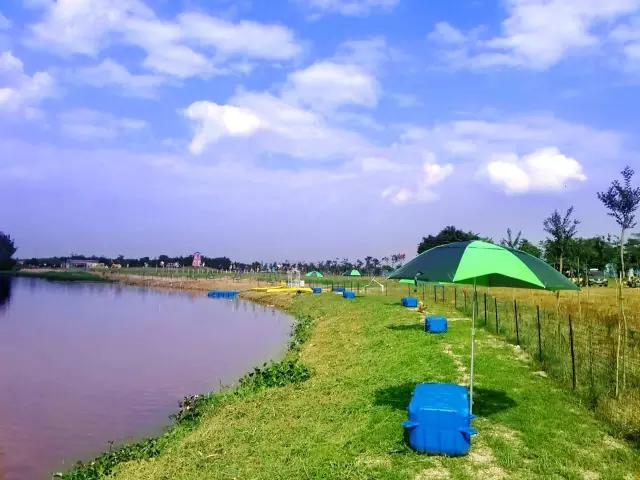 终于考完放假啦~炎炎夏日到紫溪半岛避暑玩水去~