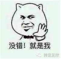 最著名的欧洲杯主题曲,历届欧洲杯背景音乐都有哪些