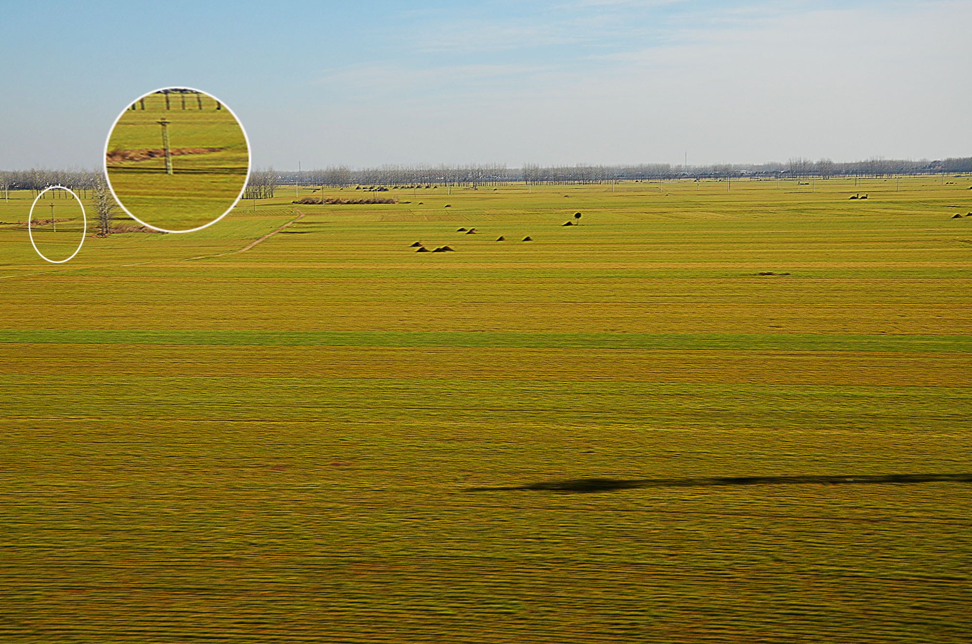 乐檬回归了完整版,乐檬回归