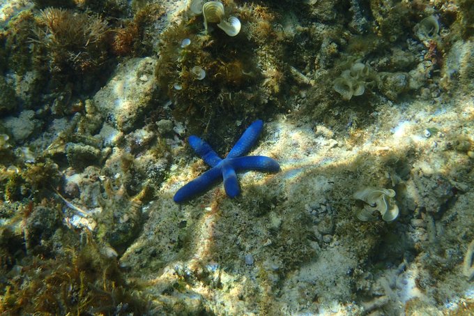 菲律宾杜马盖地和锡基霍尔地图,杜马盖地到锡基霍尔码头船时刻表