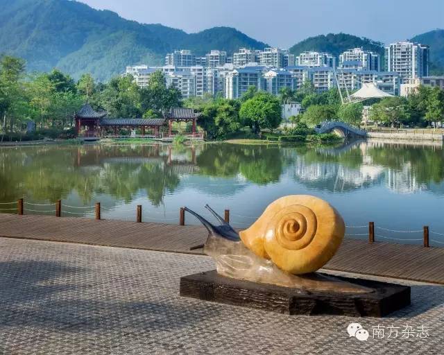 丰顺和大埔,大埔丰顺篮球比赛