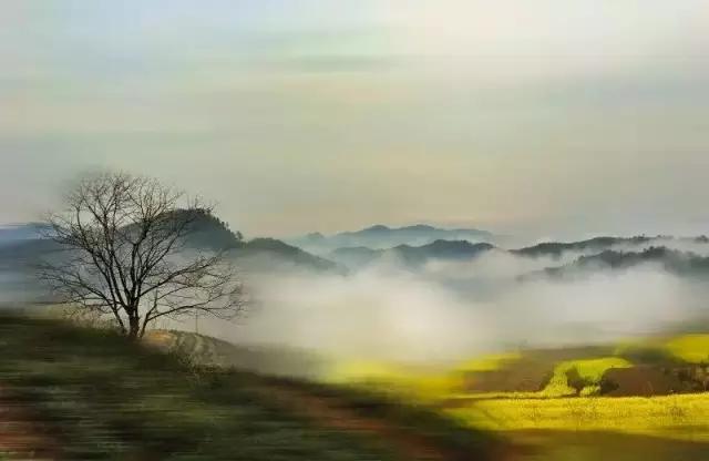 点赞他们的高光时刻,大家用手机拍出过什么好看的照片