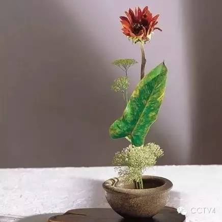 看我无情对,让你没话说