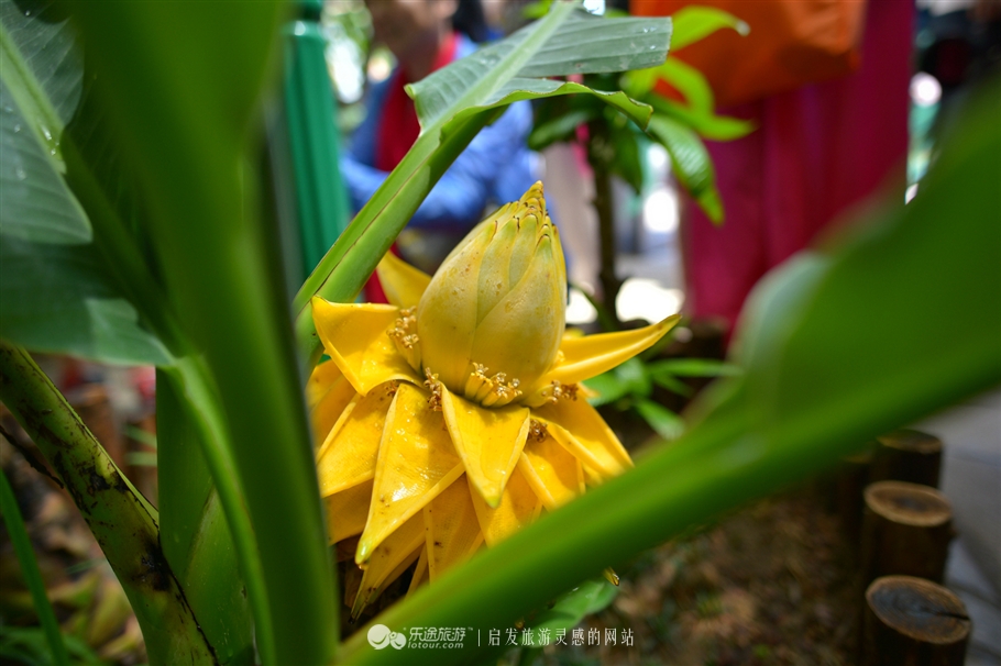 你不曾见过的风景,你不曾见过的风景完整版