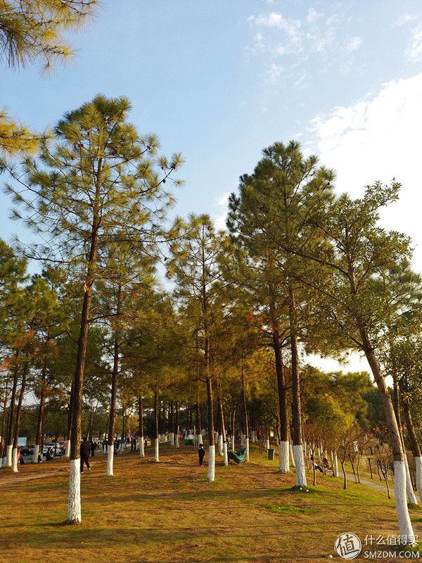 v4美图手机怎么样,美图v4手机怎么样