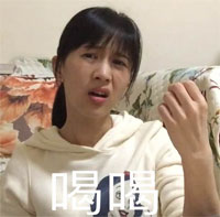 欧洲杯教练们,欧洲杯教练篇