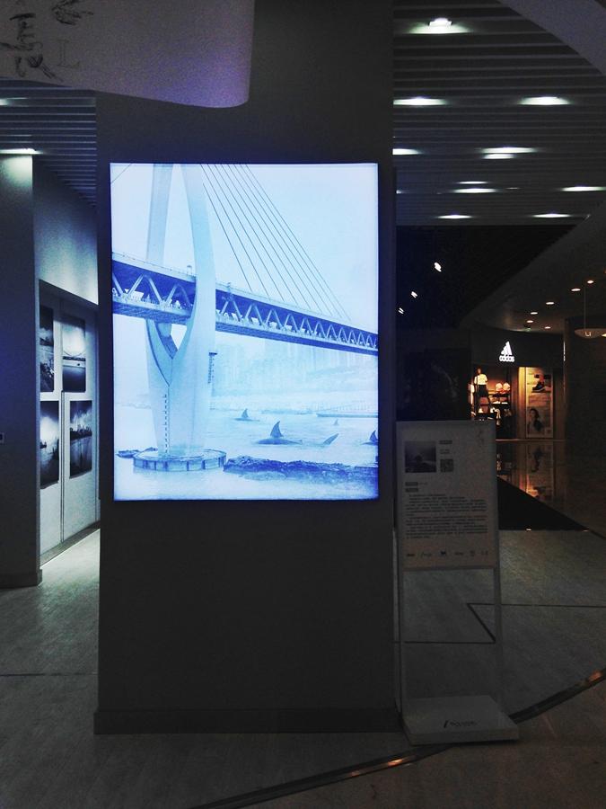 年度最值得看的摄影展,最好看的摄影展