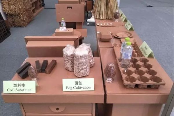 江苏书展扬州分展场,江苏书展7月5日安排