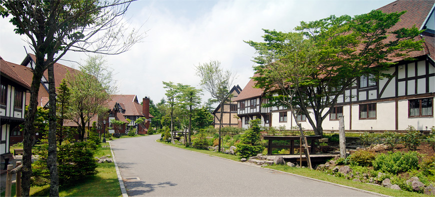 蜜月去欧洲,蜜月去厦门还是去云南