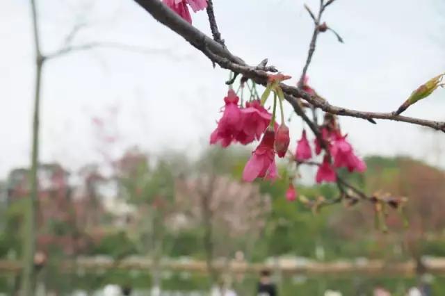 美术生考广东工业大学难吗,为什么这么多人支持广东工业大学