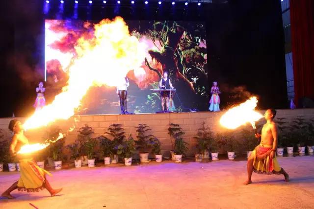 太原惊现史上最虐心的蝶萤文化节！爱我就带我去与蝶共舞、与萤作