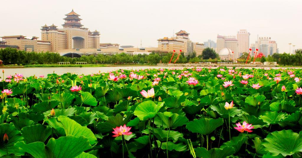 暑假去哪儿？当然丰台！