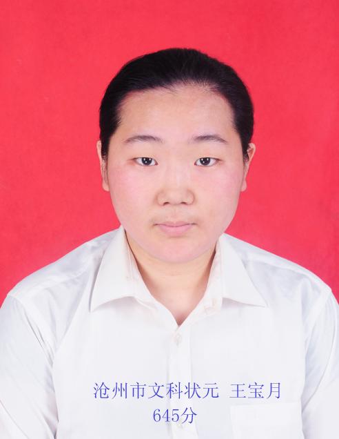 2016年高考状元河北,盘点河北10年高考状元