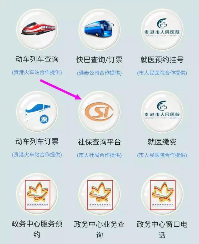 贵港医保查询,贵港市如何查询社保缴费情况