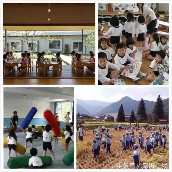 教育是最廉价的国防,走进日本幼儿园才发觉孩子上了个假幼儿园!