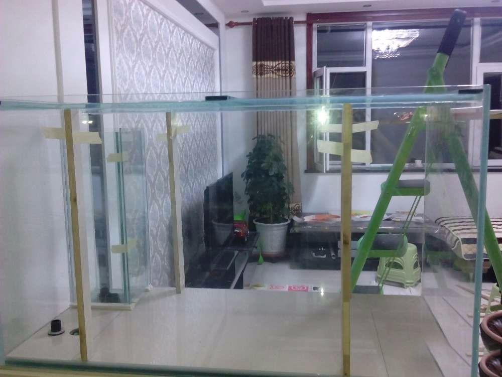 没养鱼有油膜,没养鱼只是在岸上走