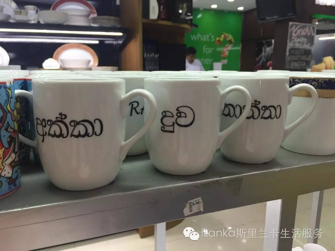 兰卡生活在哪里,兰卡生活日记全集