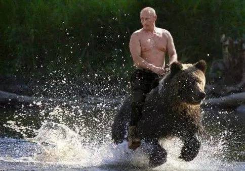 老司机看卡特打球,老司机看球