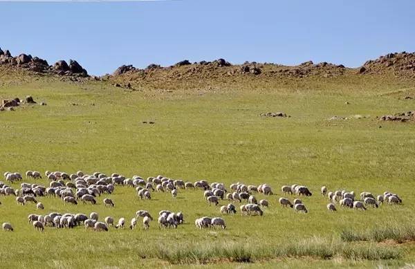 汉代古墓出土现场,汉代古墓中千年不腐的尸体