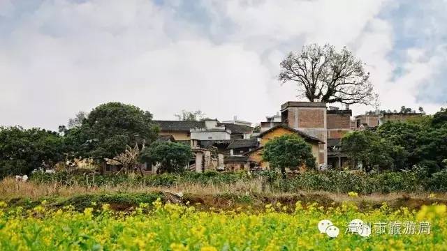 云霄镇攻略,云霄旅游线路攻略图大全