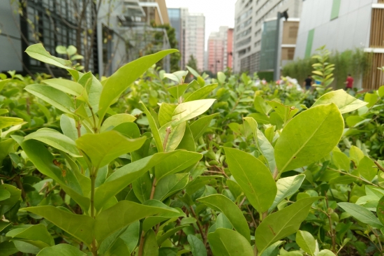 360n4s测评,360n4s手机质量怎么样