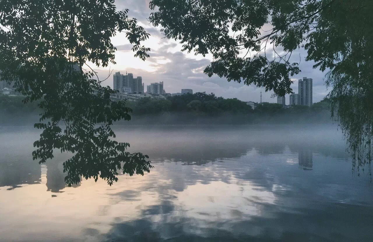 镜头下的信阳浉河区,信阳浉河区美丽景象
