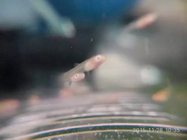 新手独白总结一下那些年我们犯过的错