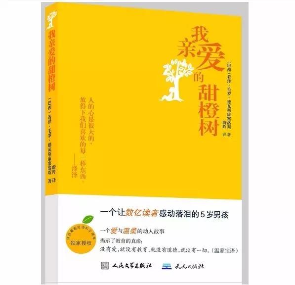 这六本书称得上治愈系天花板,这6本书熬通宵也要读