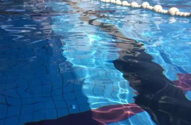 福州省体游泳馆价格一览表,福州最新游泳馆分布图