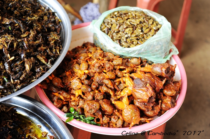 柬埔寨必去景点推荐,柬埔寨旅游必去的九大绝佳景点