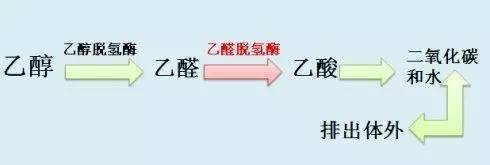 喝酒脸红的人到底能不能喝牛奶,喝酒脸红的人到底能不能喝图片
