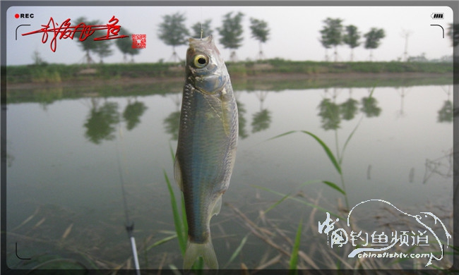 马踏湖国家湿地公园远足,马踏湖国家湿地公园游览路线