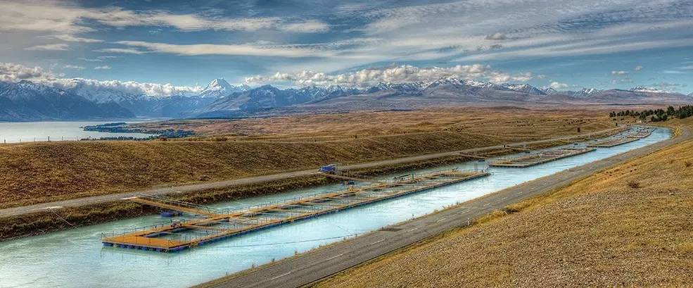 新西兰南岛大海,新西兰海鲜哪个最好吃视频